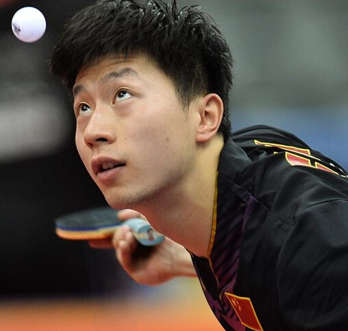 球队在赛季 球队在赛季