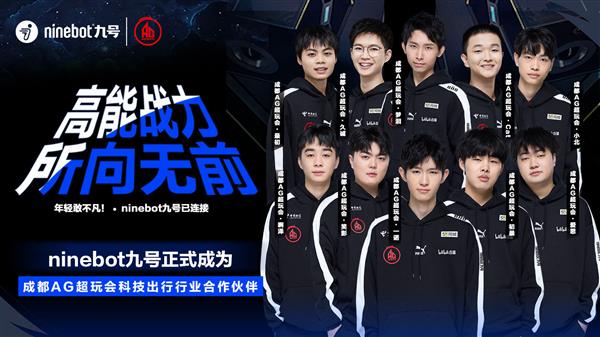 公告 公告