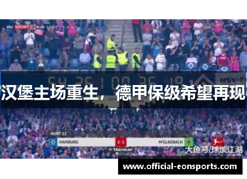 汉堡主场重生，德甲保级希望再现